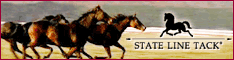 link_13566.gif