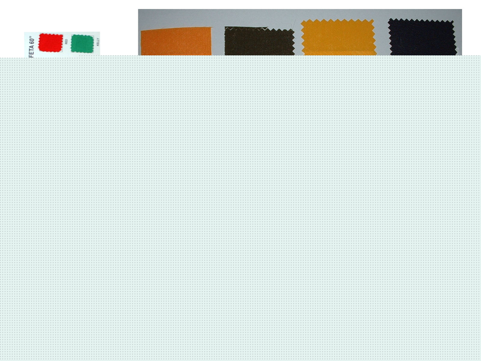 web5.jpg